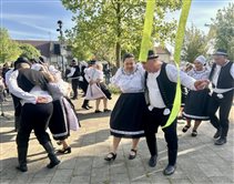 Stavanie mája